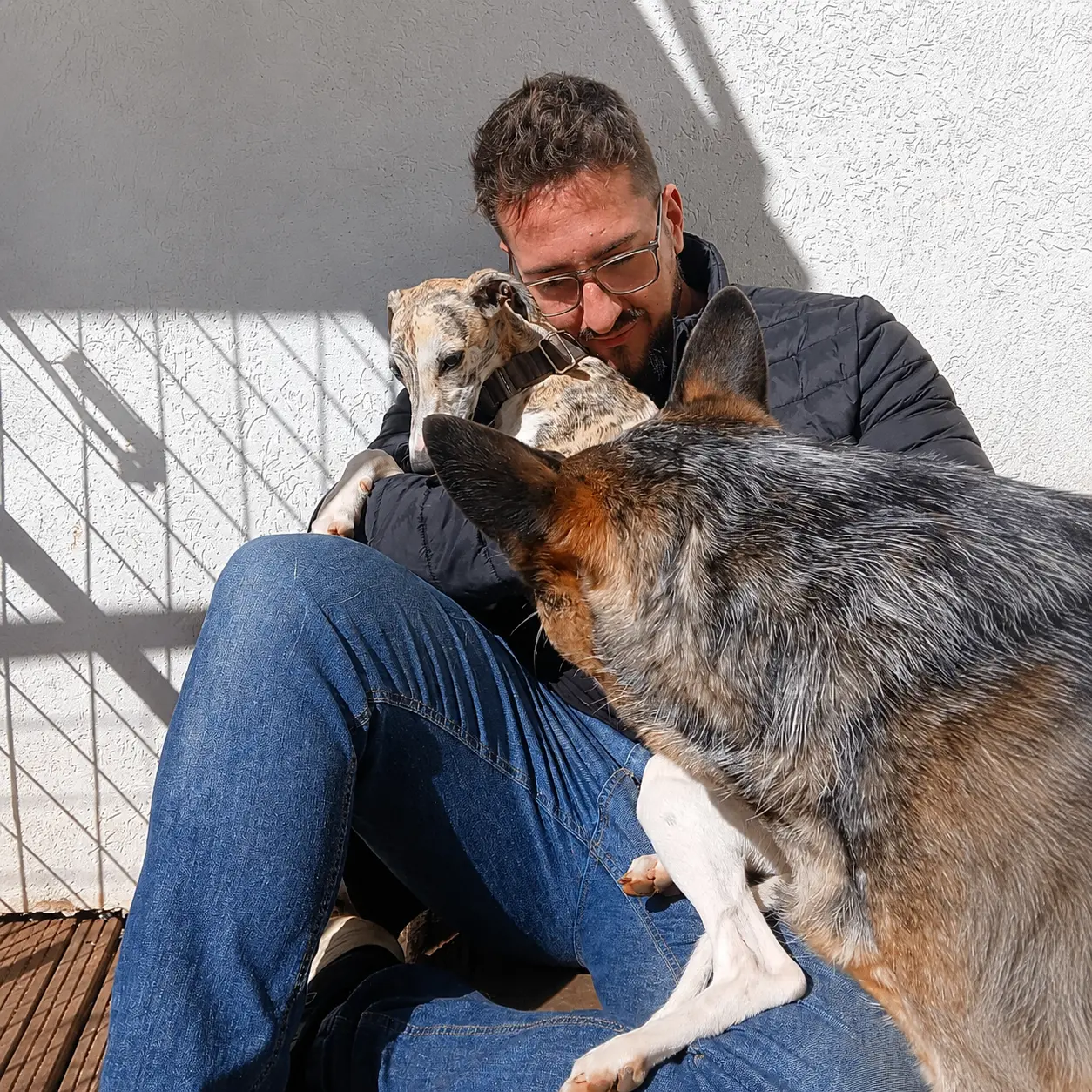 Momento de carinho com os pets